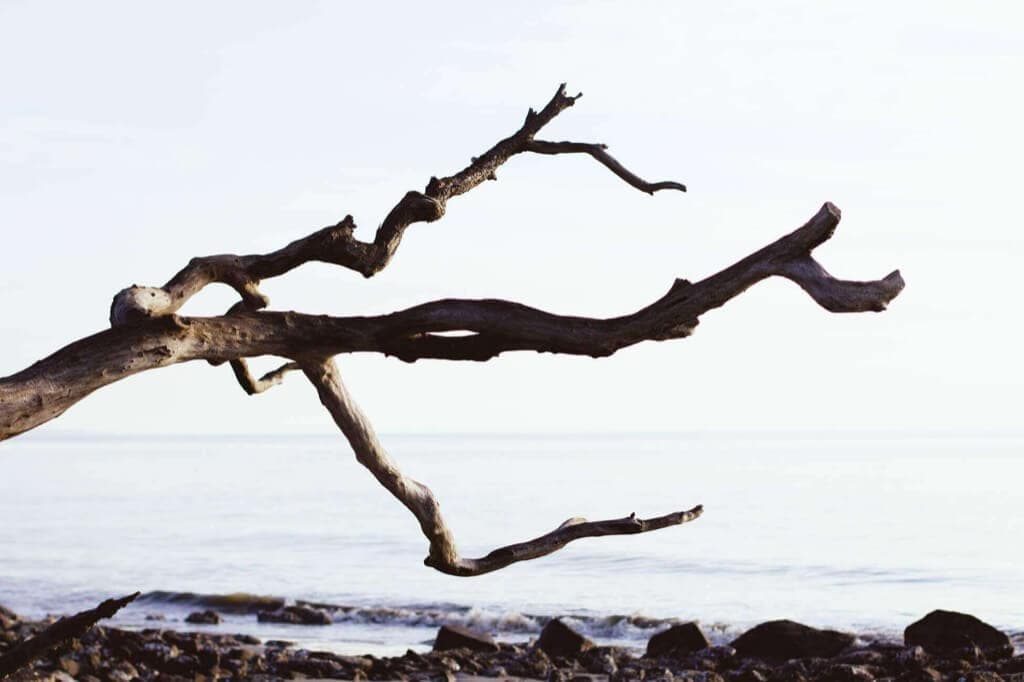 Branch by Abstraction Pattern